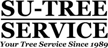 Su-Tree Service for Tree Pruning and Removal in North Georgia